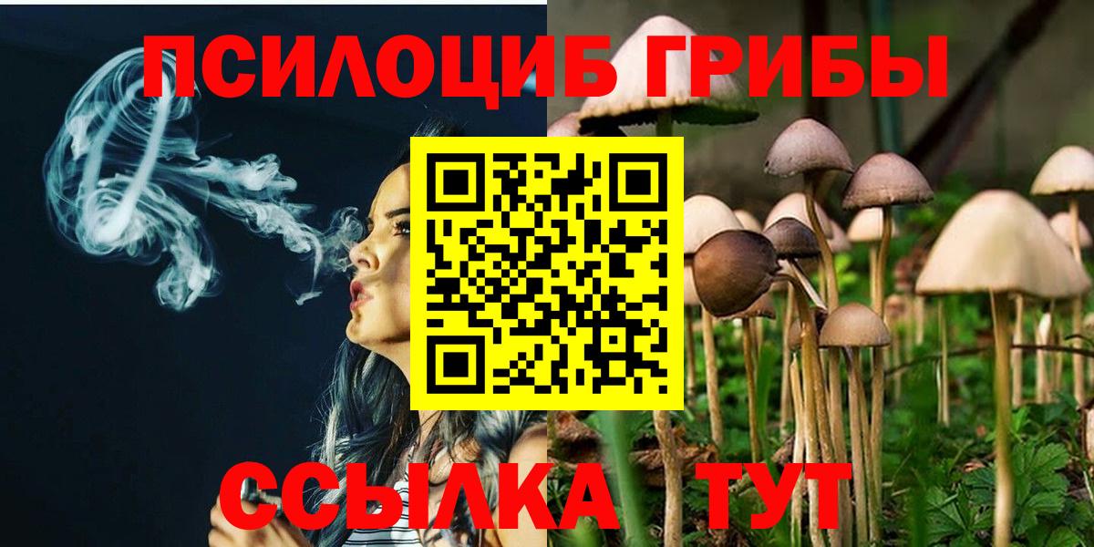 Павлово  Галлюциногенные грибы прущие грибы  Вход с VPN 